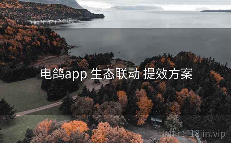 电鸽app 生态联动 提效方案  第2张