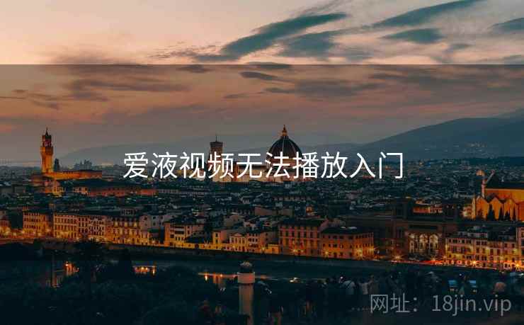 爱液视频无法播放入门 第2张 爱液视频无法播放入门 第2张