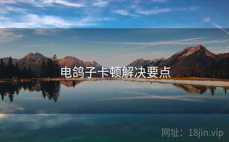 电鸽子卡顿解决要点 第1张 电鸽子卡顿解决要点 第1张