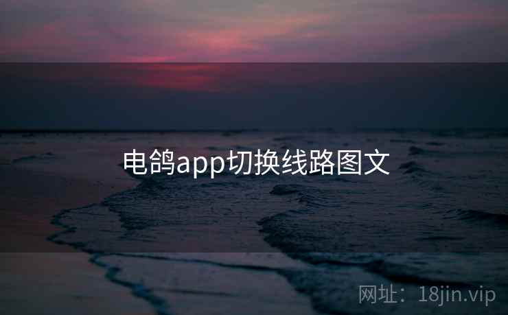 电鸽app切换线路图文 第1张 电鸽app切换线路图文 第1张