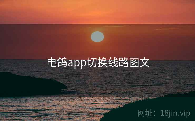 电鸽app切换线路图文 第2张 电鸽app切换线路图文 第2张